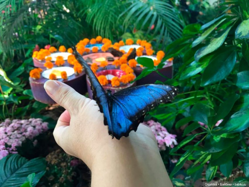 Знакомство с Лондоном, часть 11