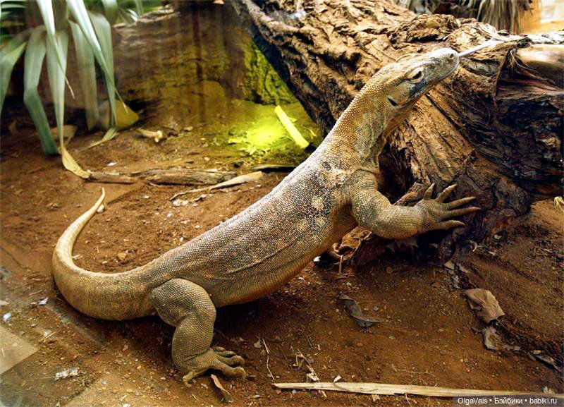 Знакомство с Лондоном, часть 11