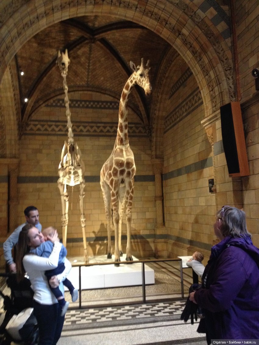 Знакомство с Лондоном часть 12