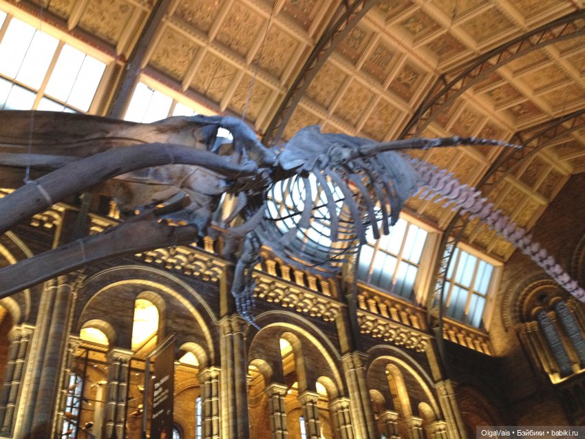 Знакомство с Лондоном часть 12 (фото 2)