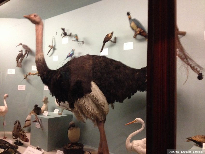 Знакомство с Лондоном часть 12