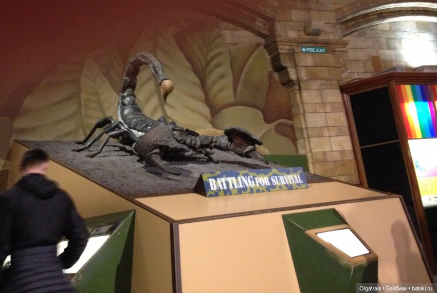 Знакомство с Лондоном часть 12