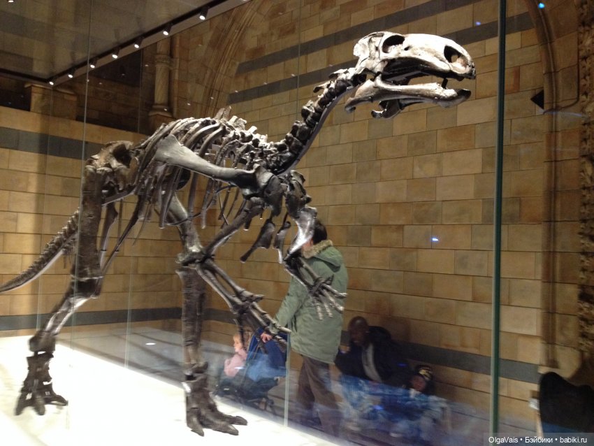 Знакомство с Лондоном часть 12 (фото 6)