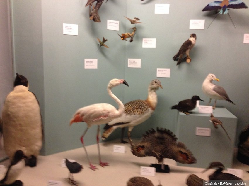 Знакомство с Лондоном часть 12