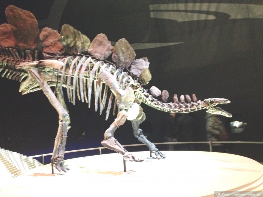 Знакомство с Лондоном часть 12 (фото 8)