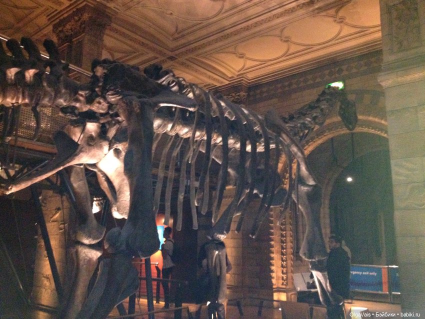 Знакомство с Лондоном часть 12 (фото 9)