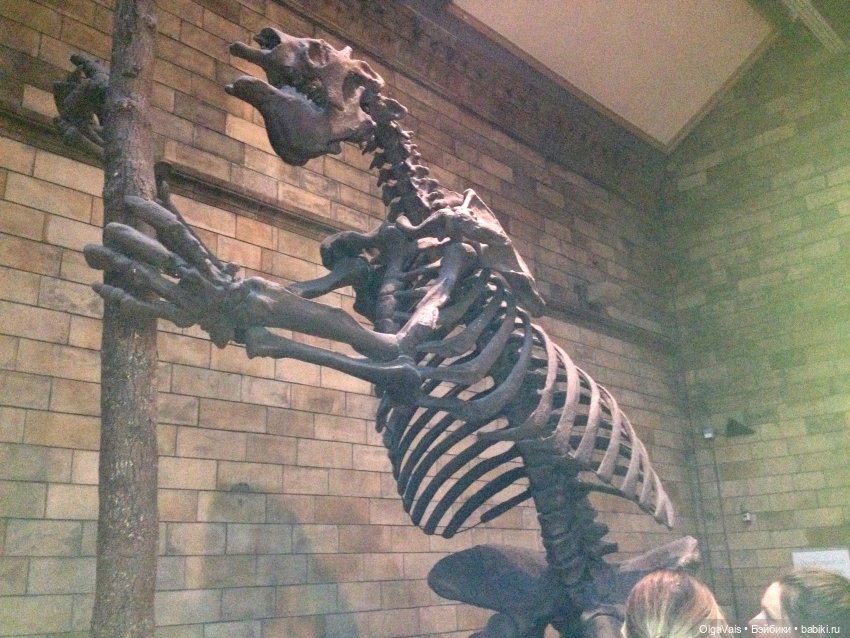 Знакомство с Лондоном часть 12 (фото 7)