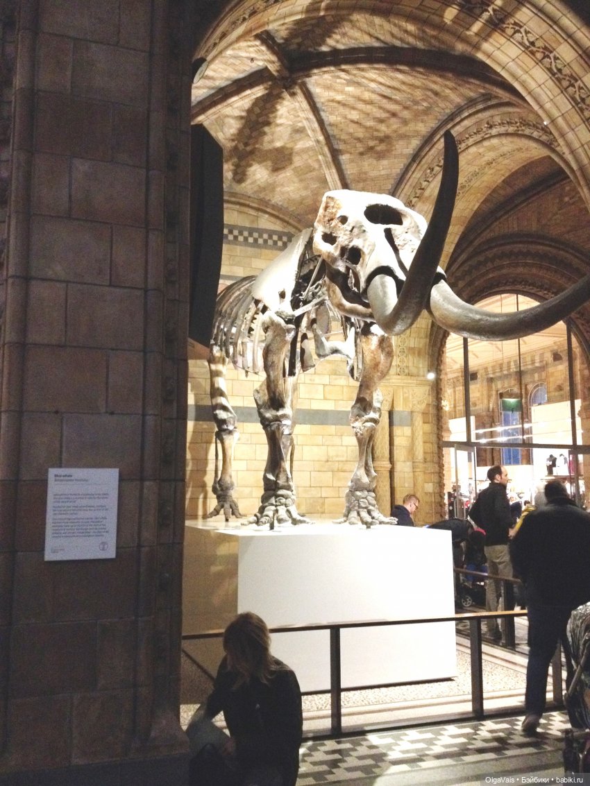 Знакомство с Лондоном часть 12 (фото 5)