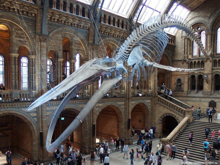 Знакомство с Лондоном часть 12 (фото 3)