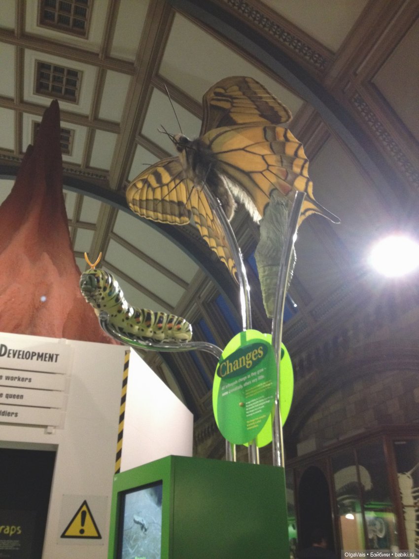 Знакомство с Лондоном часть 12