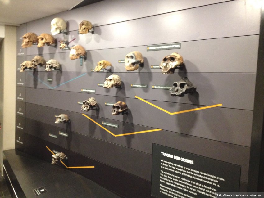 Знакомство с Лондоном часть 12