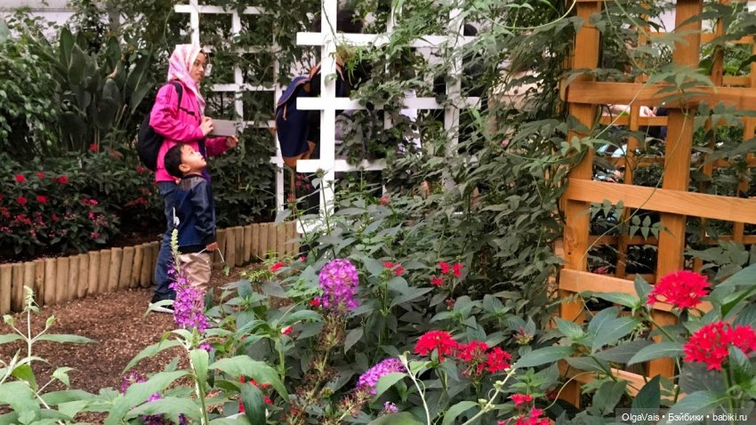 Знакомство с Лондоном часть 12