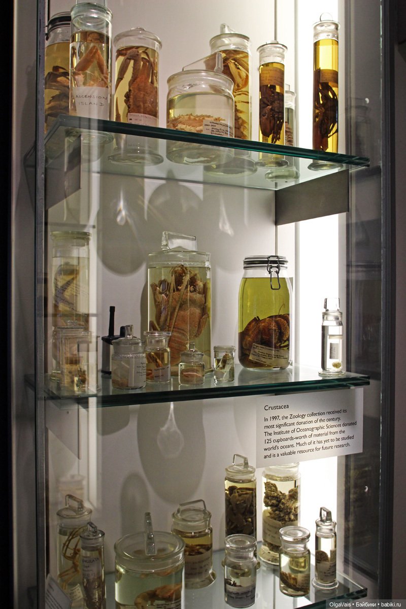 Знакомство с Лондоном часть 12