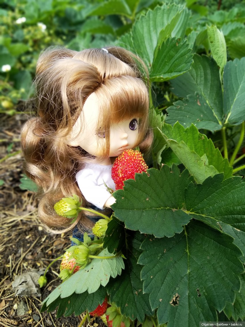 Ягодная охота — Болталка и разговоры обо всем: жизнь (фото 5)