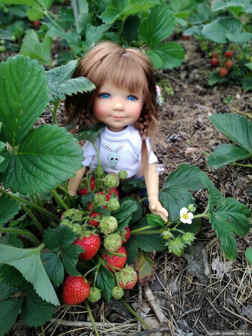 Ягодная охота — Болталка и разговоры обо всем: жизнь