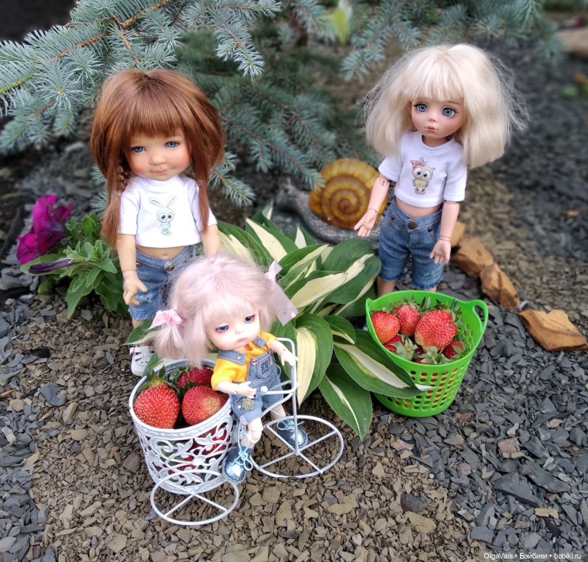 Ягодная охота — Болталка и разговоры обо всем: жизнь (фото 4)