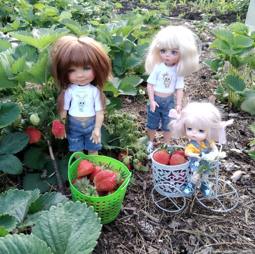 Ягодная охота — Болталка и разговоры обо всем: жизнь (фото 2)