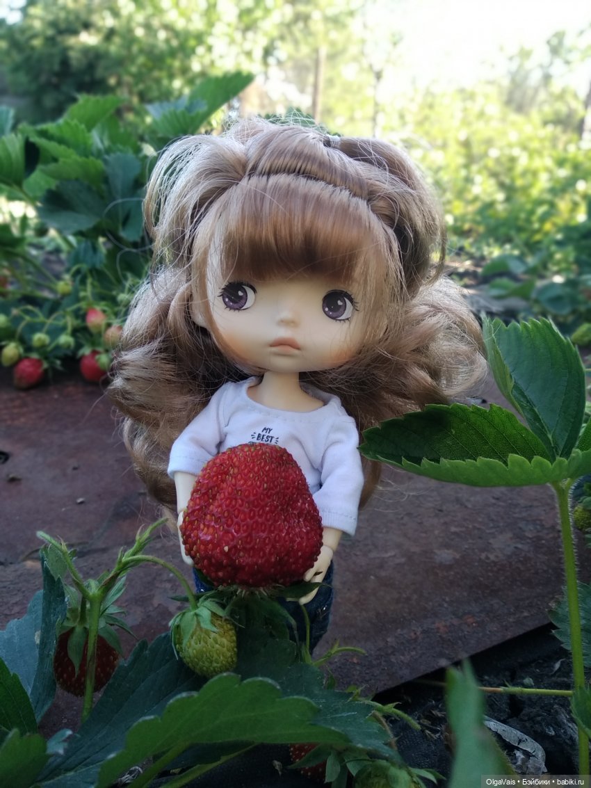 Ягодная охота — Болталка и разговоры обо всем: жизнь (фото 8)