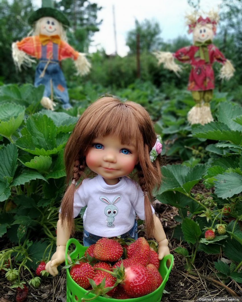 Ягодная охота — Болталка и разговоры обо всем: жизнь