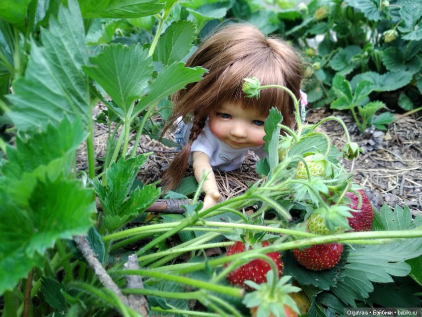 Ягодная охота — Болталка и разговоры обо всем: жизнь (фото 7)