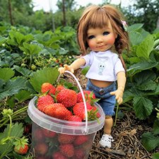 Ягодная охота