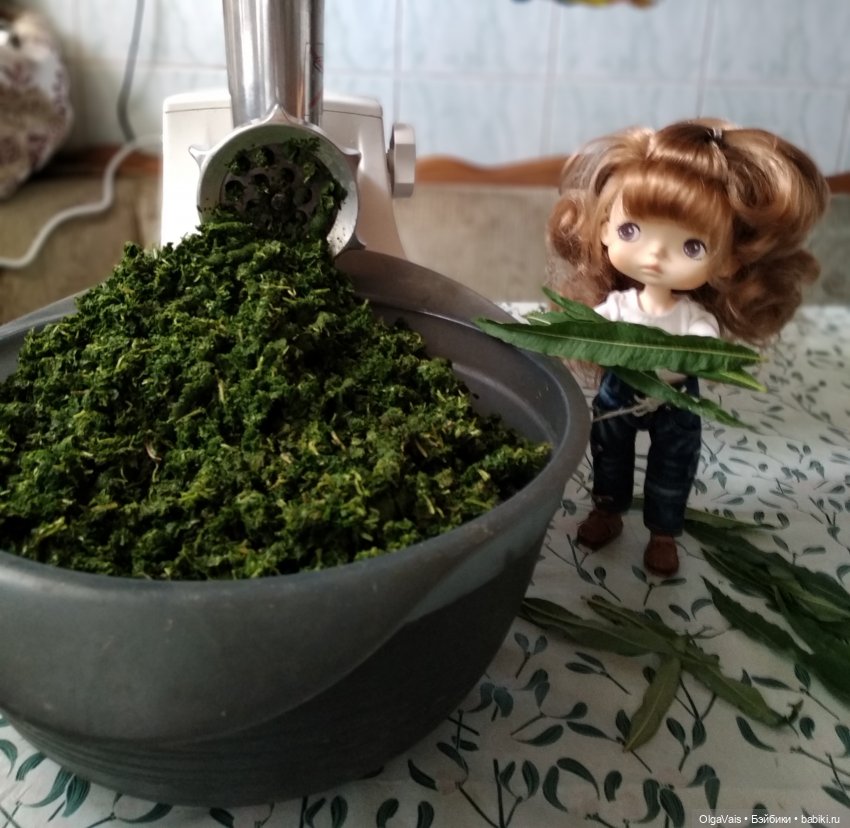 Иван-чай от А до Я — Красивая природа и цветы: фото пейзажей (фото 10)