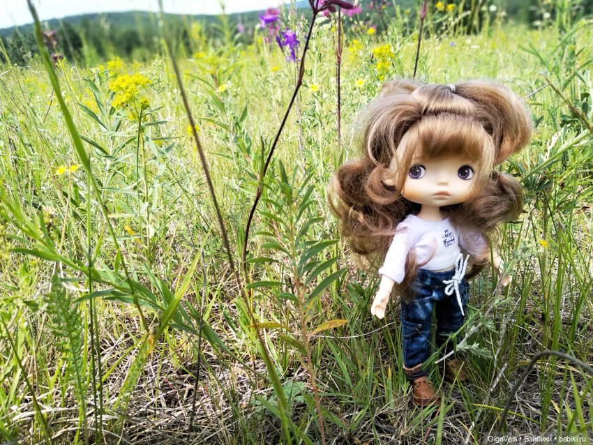 Иван-чай от А до Я — Красивая природа и цветы: фото пейзажей (фото 4)