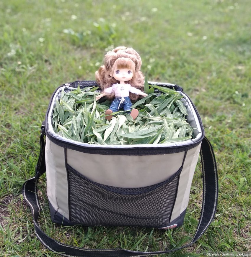 Иван-чай от А до Я — Красивая природа и цветы: фото пейзажей (фото 6)