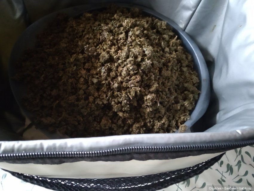 Иван-чай от А до Я — Красивая природа и цветы: фото пейзажей