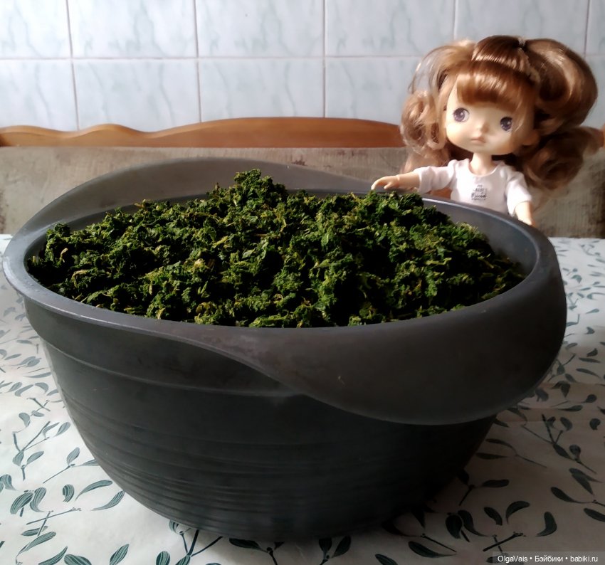 Иван-чай от А до Я — Красивая природа и цветы: фото пейзажей