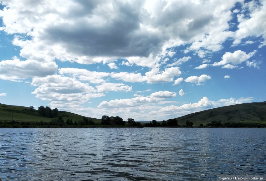 Иван-чай от А до Я — Красивая природа и цветы: фото пейзажей (фото 7)