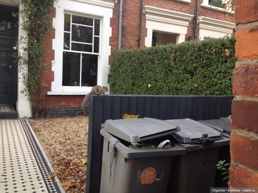 Знакомство с Лондоном, часть 13 (фото 9)