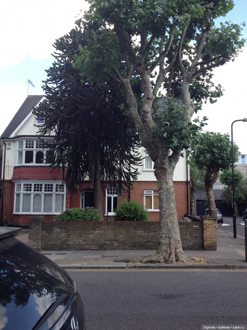 Знакомство с Лондоном, часть 13 (фото 8)