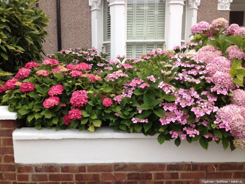 Знакомство с Лондоном, часть 14, заключительная