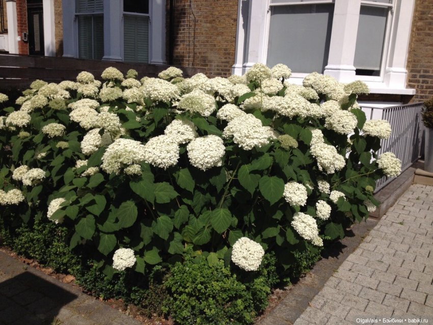 Знакомство с Лондоном, часть 14, заключительная