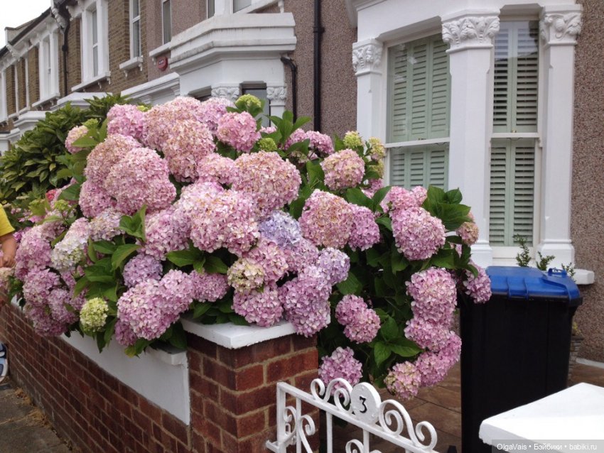Знакомство с Лондоном, часть 14, заключительная