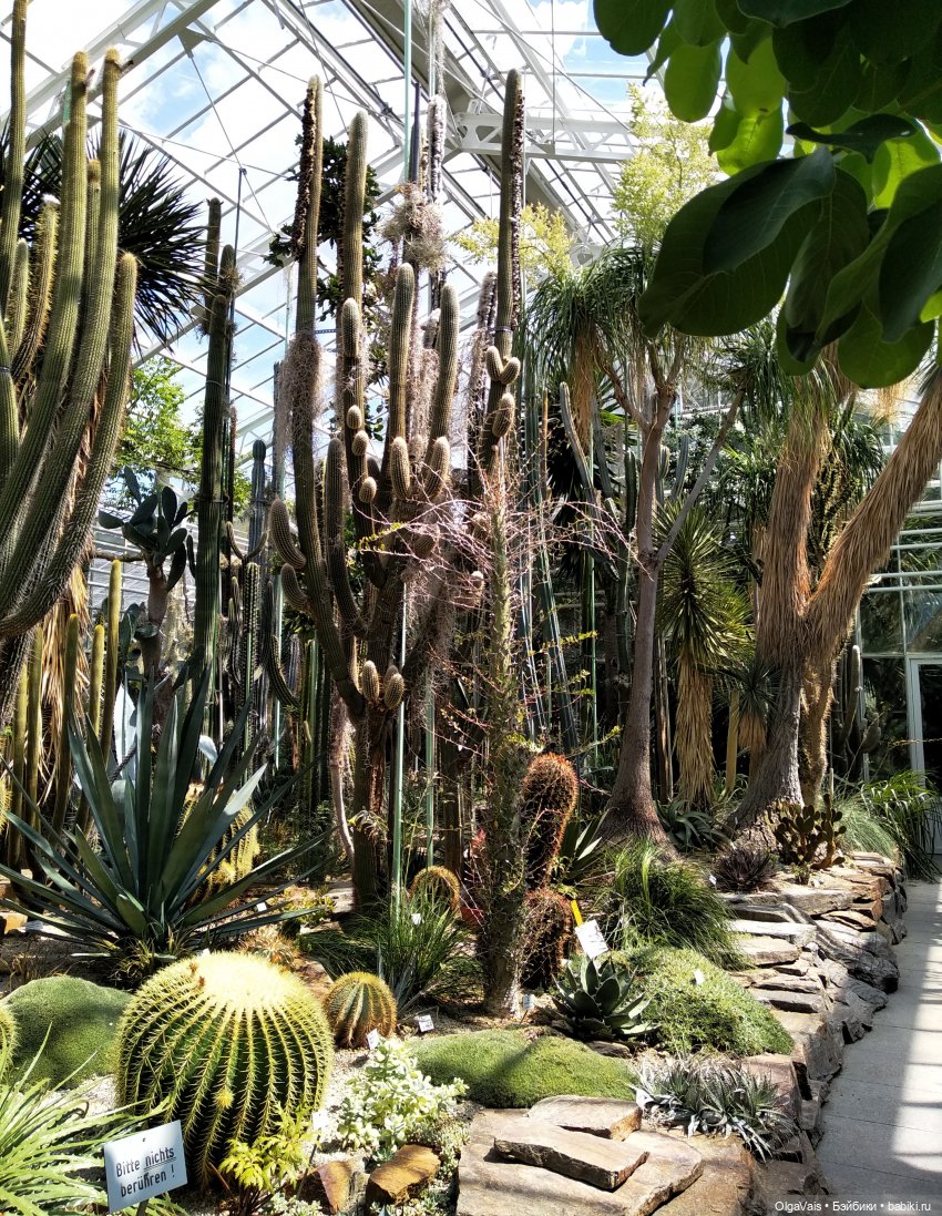 Добро пожаловать в Мюнхен, часть 4