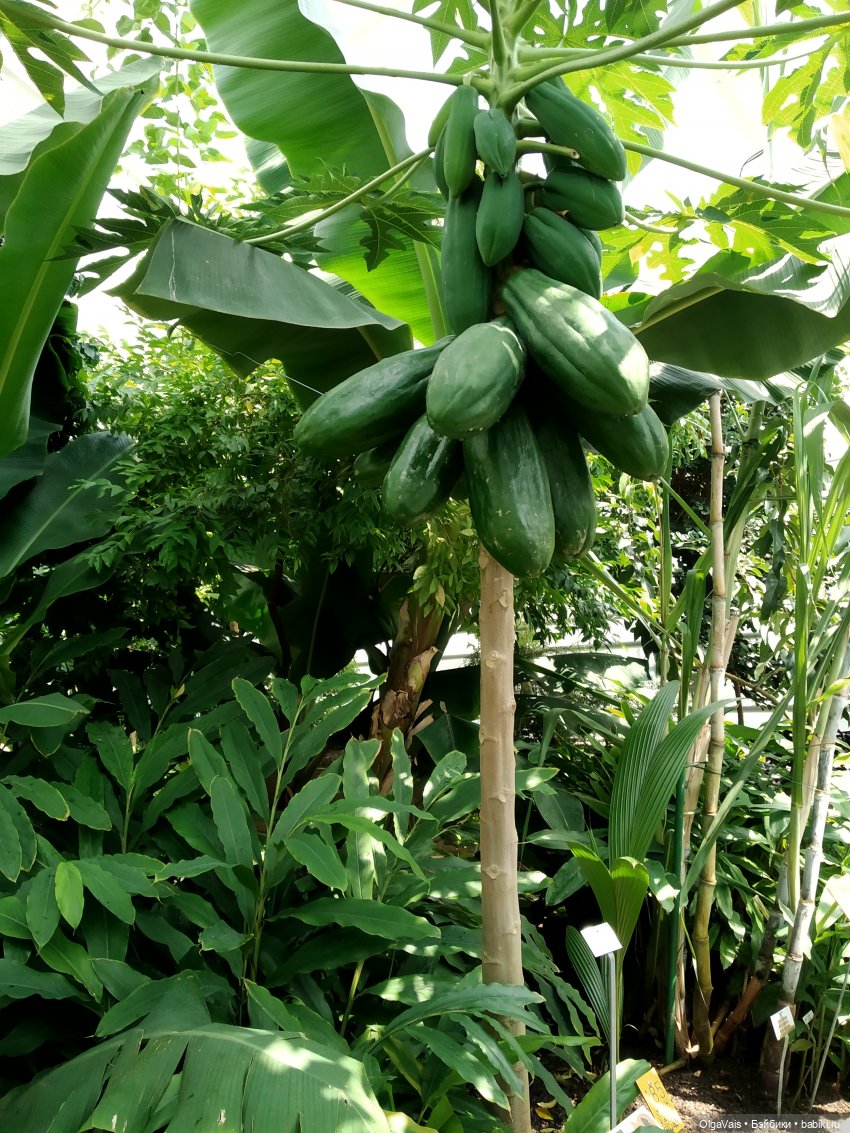 Добро пожаловать в Мюнхен, часть 4