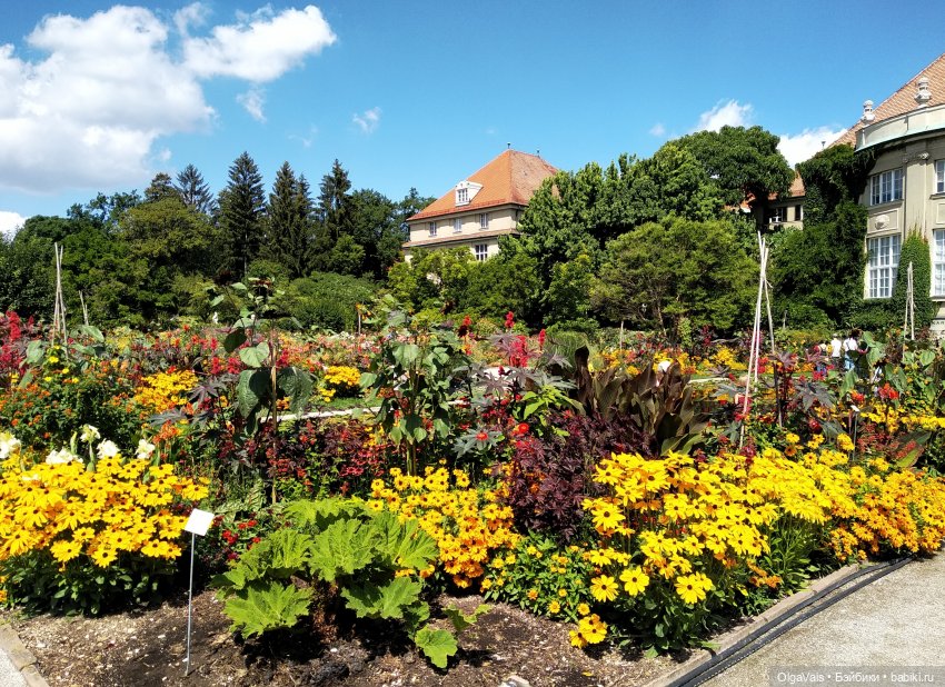 Добро пожаловать в Мюнхен, часть 4 (фото 5)