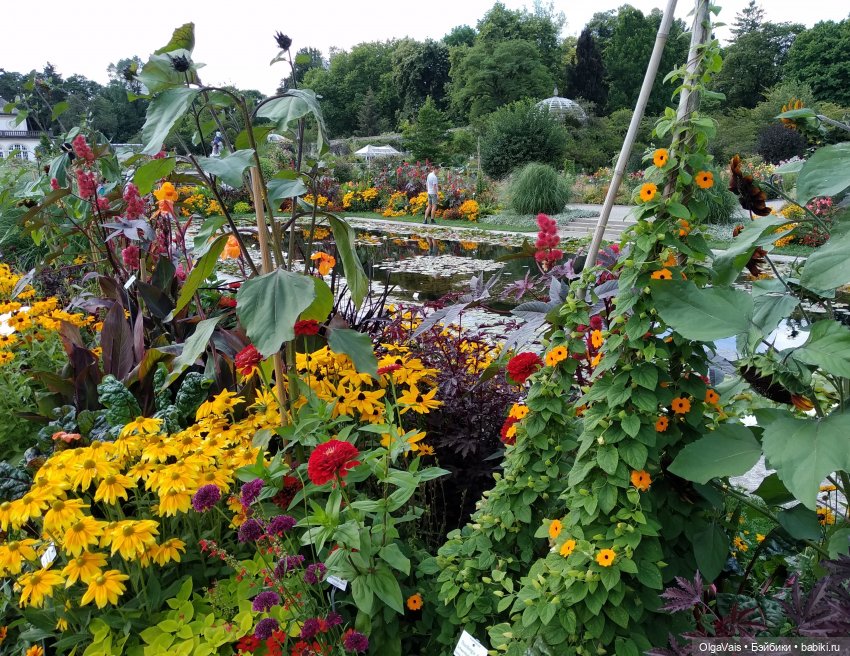 Добро пожаловать в Мюнхен, часть 4 (фото 3)