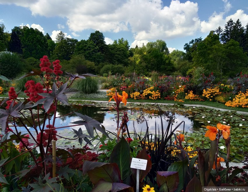 Добро пожаловать в Мюнхен, часть 4 (фото 2)