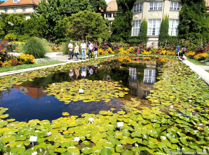 Добро пожаловать в Мюнхен, часть 4 (фото 4)