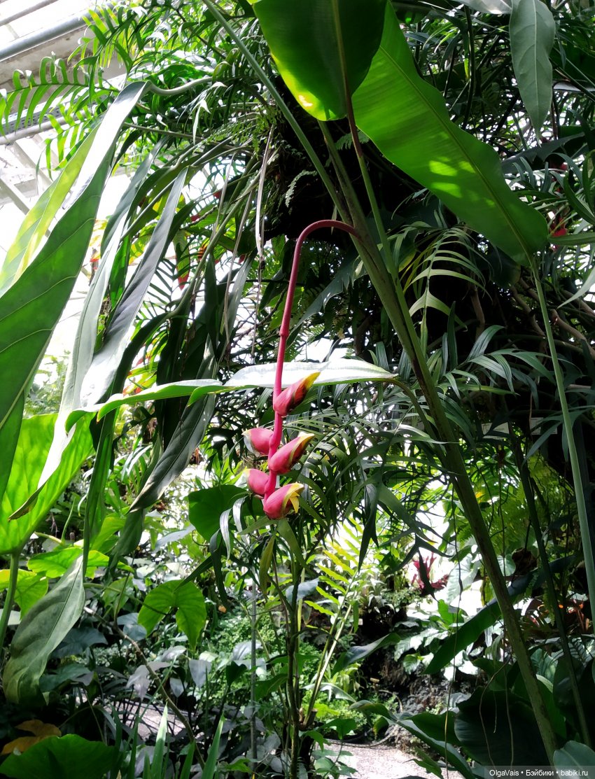 Добро пожаловать в Мюнхен, часть 4