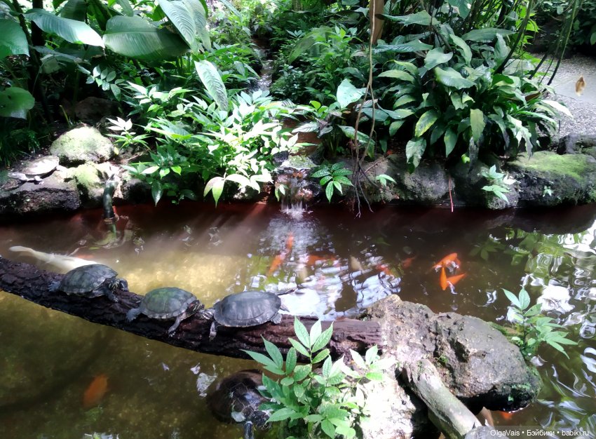 Добро пожаловать в Мюнхен, часть 4