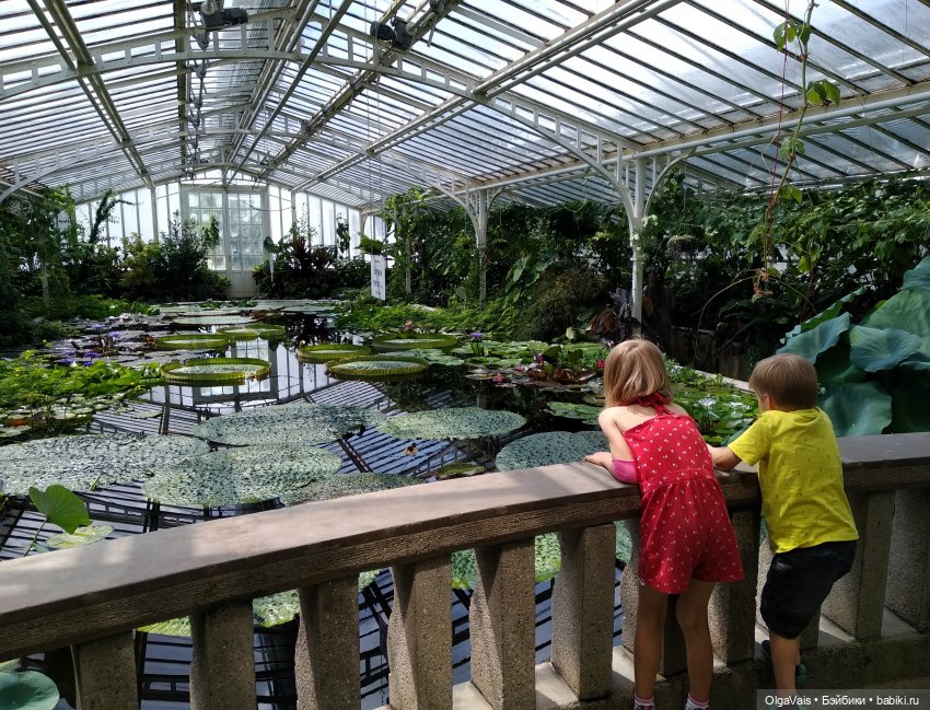 Добро пожаловать в Мюнхен, часть 4 (фото 10)