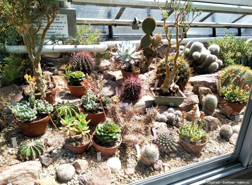 Добро пожаловать в Мюнхен, часть 4