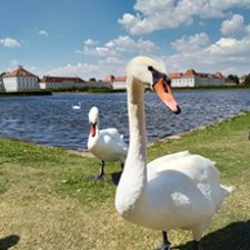 Добро пожаловать в Мюнхен! Часть 5. По следам Людвига II.