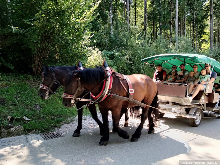 Добро пожаловать в Мюнхен! Часть 6 Нойшванштайн (фото 5)