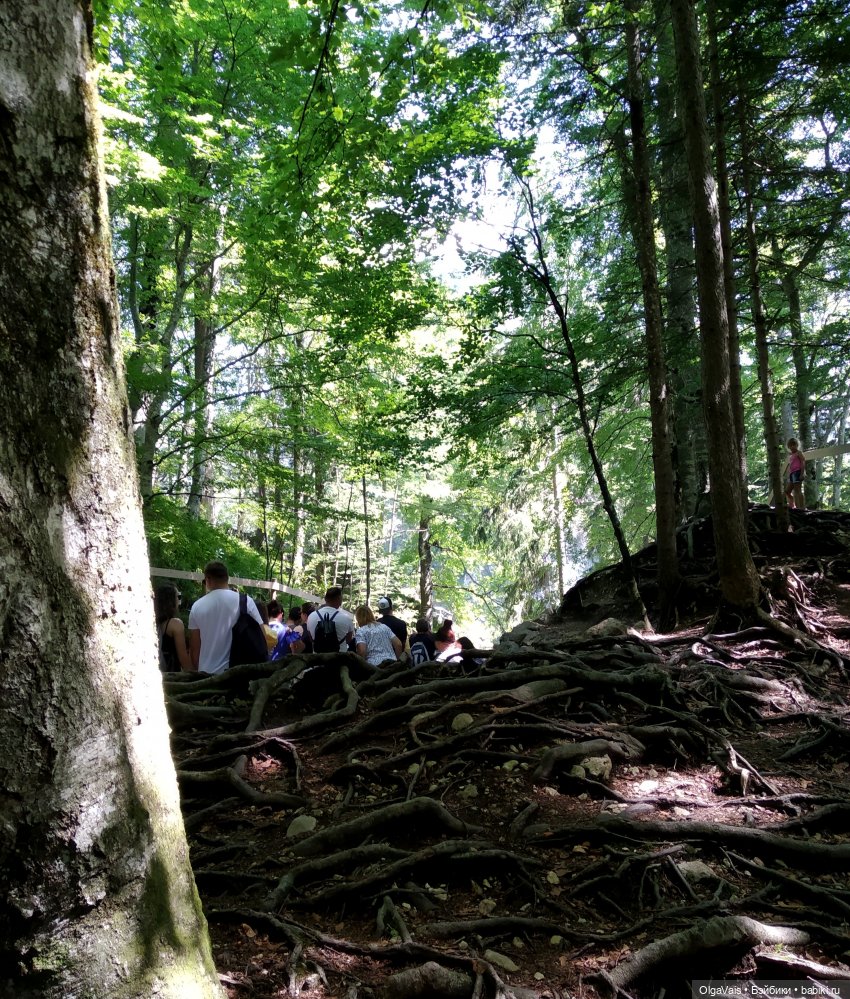 Добро пожаловать в Мюнхен! Часть 6 Нойшванштайн (фото 9)