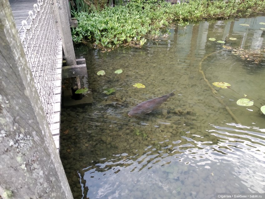 Добро пожаловать в Мюнхен! Часть 5. По следам Людвига II (фото 5)